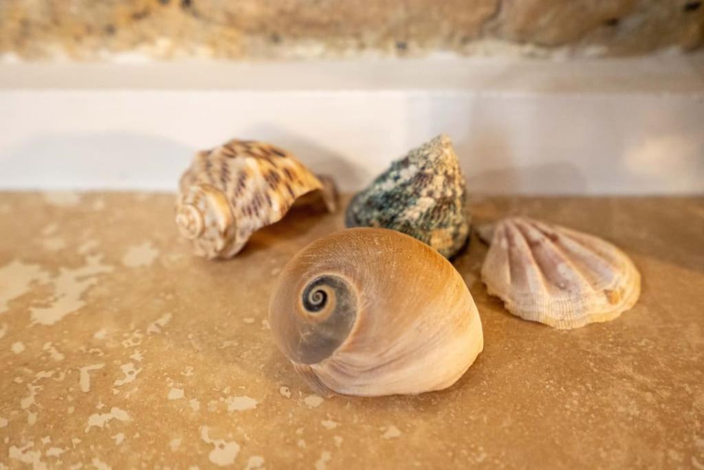 L'Antica Voltina Leilighet Nettuno Eksteriør bilde